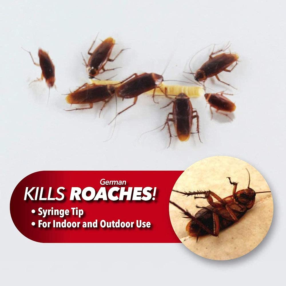 Cockroach Insect Killer Injection Gel East